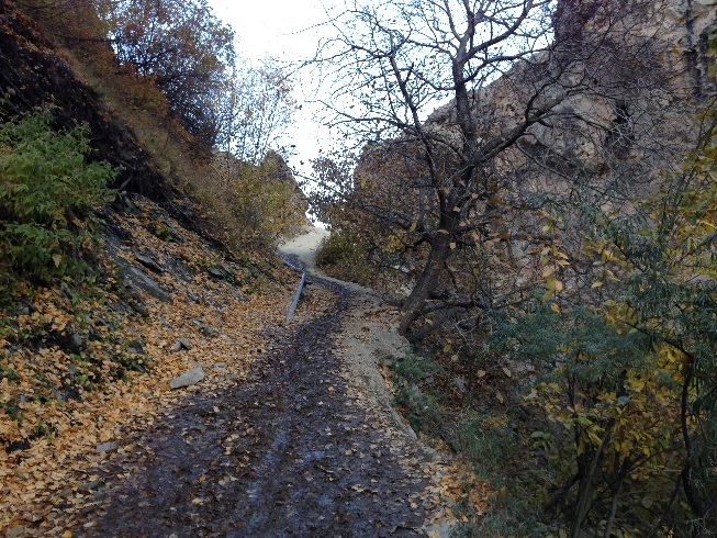 طبیعت زرد پاییزی هنگام صعود به قله توچال از مسیر آهار - شکرآب - توچال 